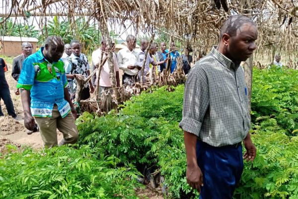 karonga-dado-rapheal-mkisi-supervising-a-nursery-garden-pic-by-andrew-mkonda-mana6767BB04-DB94-7D7C-778C-92540AC19E3E.jpg