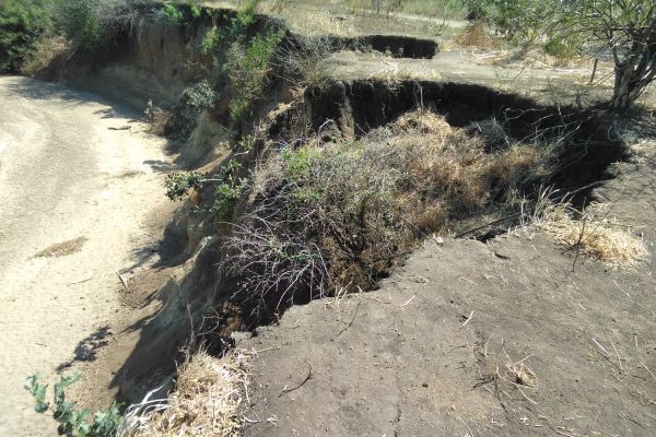 mulunguzi-gully-reclamation-in-malikula-catchment3B0E5C04-CE17-7E29-906F-6E8AE519859C.jpg