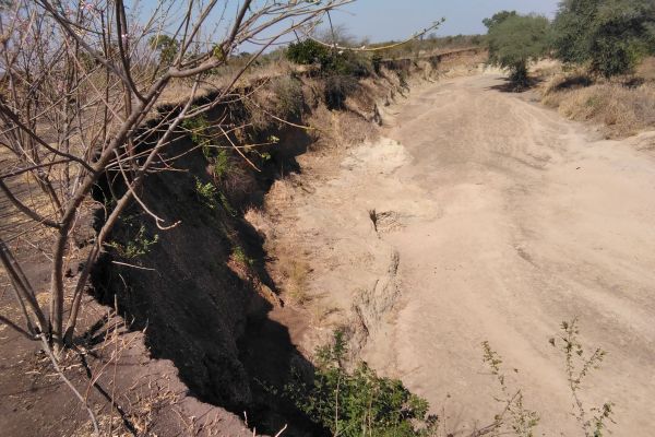 mulunguzi-river-afforestation-in-malikula-catchment39236ACE-E7D7-4CF4-E5B1-E18E9ADFD16A.jpg