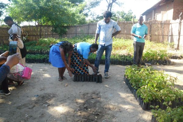 participants-to-the-trainingDE8B3605-4423-7DF7-C92A-3D8106ACBBDE.jpg