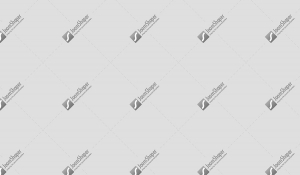Modern networks: big changes, big outlays