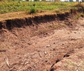 Mlandura gully to be reclaimed in Toleza micro-catchment, Balaka