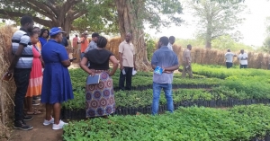 Participants discuss observations at Toleza EPWP tree nursery