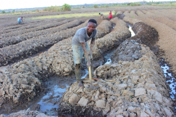 Chipewa and fellow farmers in their field