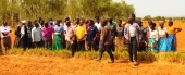 Reclaiming soil fertility through land resource conservation