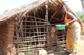 Pita Banda feeding her pigs