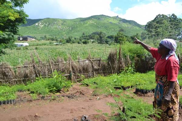 Libwala points to a part of Soche Hill seen from Somba 1 Village that has been stripped bare. 